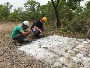 development of Bougouni Lithium Project