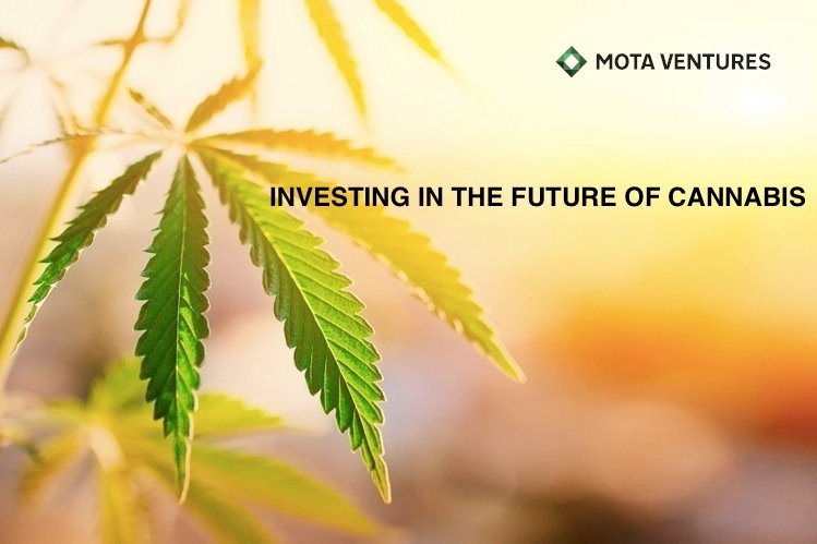 Mota Ventures announces $5 million non-brokered unit share offering 1