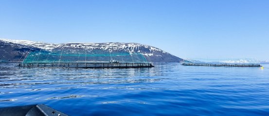 Norcod AS completes NOK 250 million private placement 1 Norcod AS completes NOK 250 million private placement 1