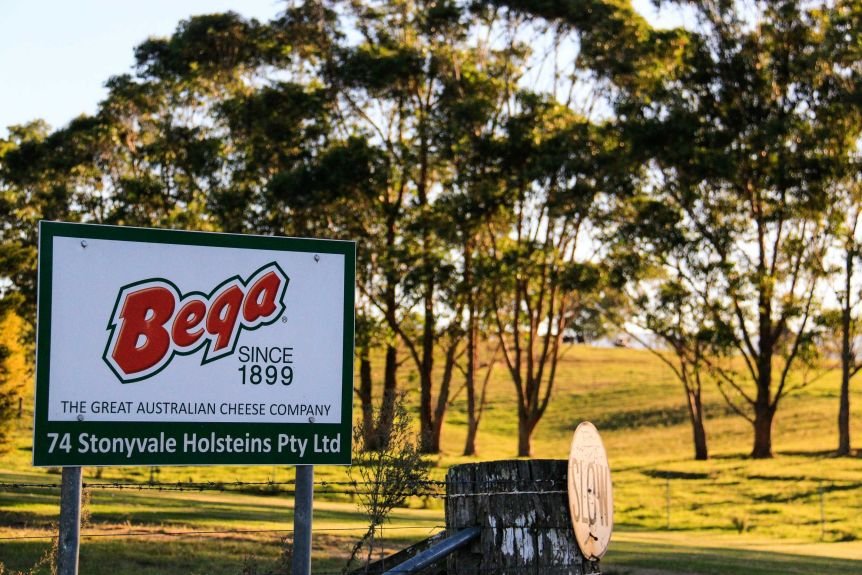 Bega Cheese