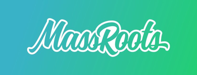 MassRoots re-launches online store focused on high-margin products 1 MassRoots re-launches online store focused on high-margin products 1