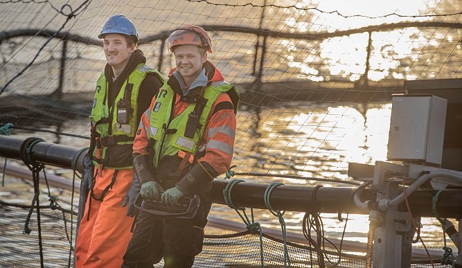 Måsøval to buy Vartdal Gruppen at enterprise value of NOK 1.52bn 1 Måsøval AS to acquire Vartdal Gruppen at enterprise value of NOK 1.52bn