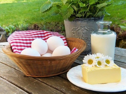 Maintain your bone density using these tips 1