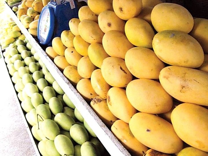 Pakistani Chaunsa mango