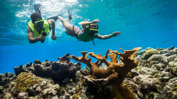 Summer Travel: The Best Places to Visit 15 Go snorkeling or diving