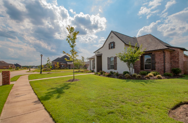 6 Facts You Should Know About Real Estate Investing 1 Real Estate Investing: lush green property
