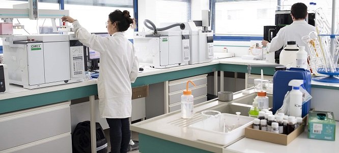 Groupe Berkem acquires Naturex Iberian Partners in Spain 1 Groupe Berkem staff