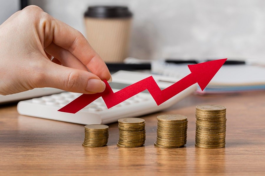 profit and earnings growth